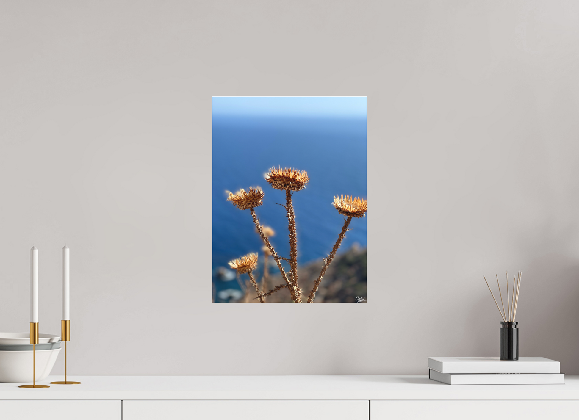 30 x 40 cm, Tirage photo sous Plexi mat Whispers of the Wind (Caroline Fourest)