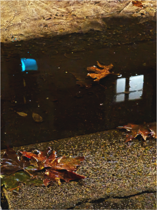 Main image " La pluie fait des miroirs dans la boue" #3 (Marie Sicard)