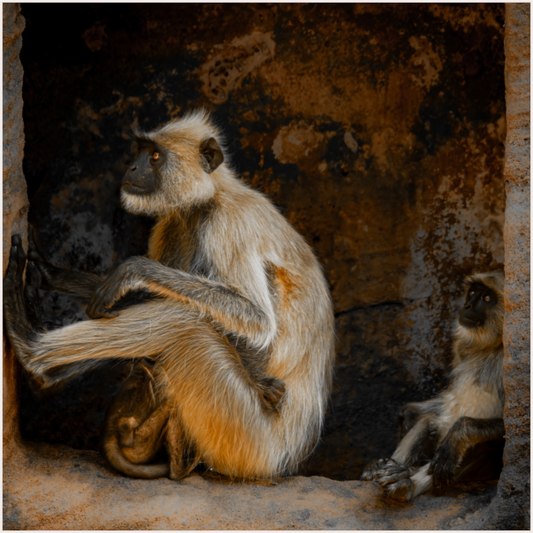Nurturing Moments (Fiammetta Venner)