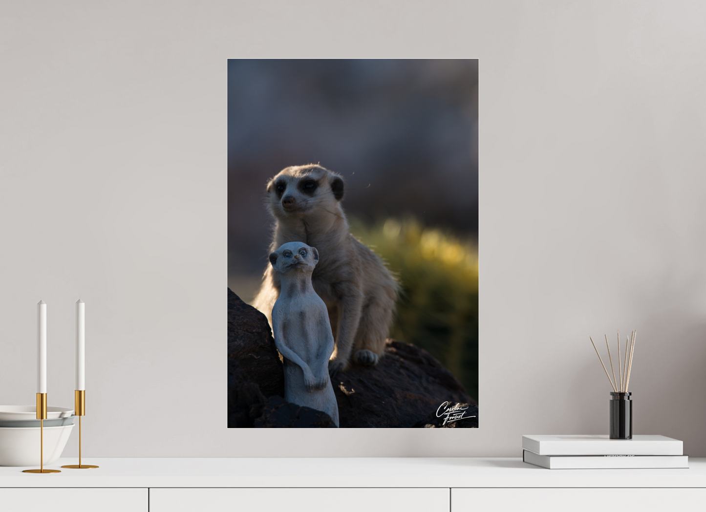 Meerkat Puppet (Caroline Fourest)