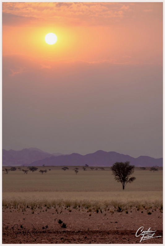 Sunset Silhouette (Caroline Fourest)