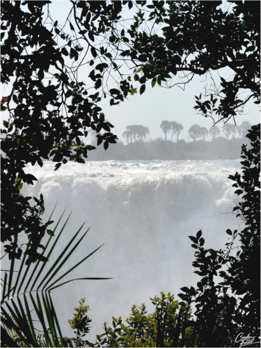 Main image The Roar Beyond the Leaves (Caroline Fourest)