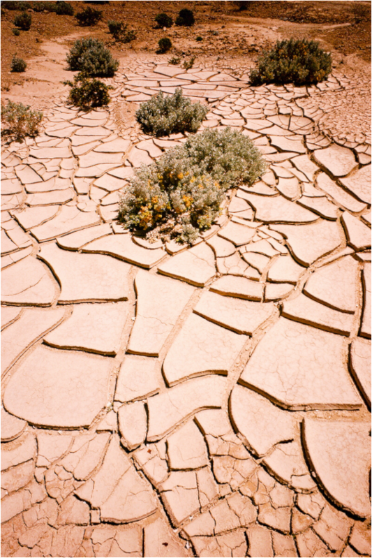 Earth's Mosaic (Aline de Nanxe)
