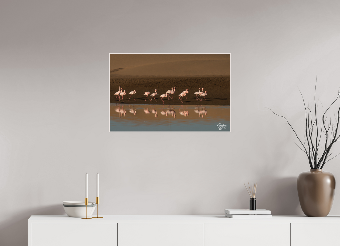 Ballet of the Flamingos (Caroline Fourest)