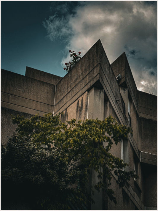 Skyward Forms (Fiammetta Venner)