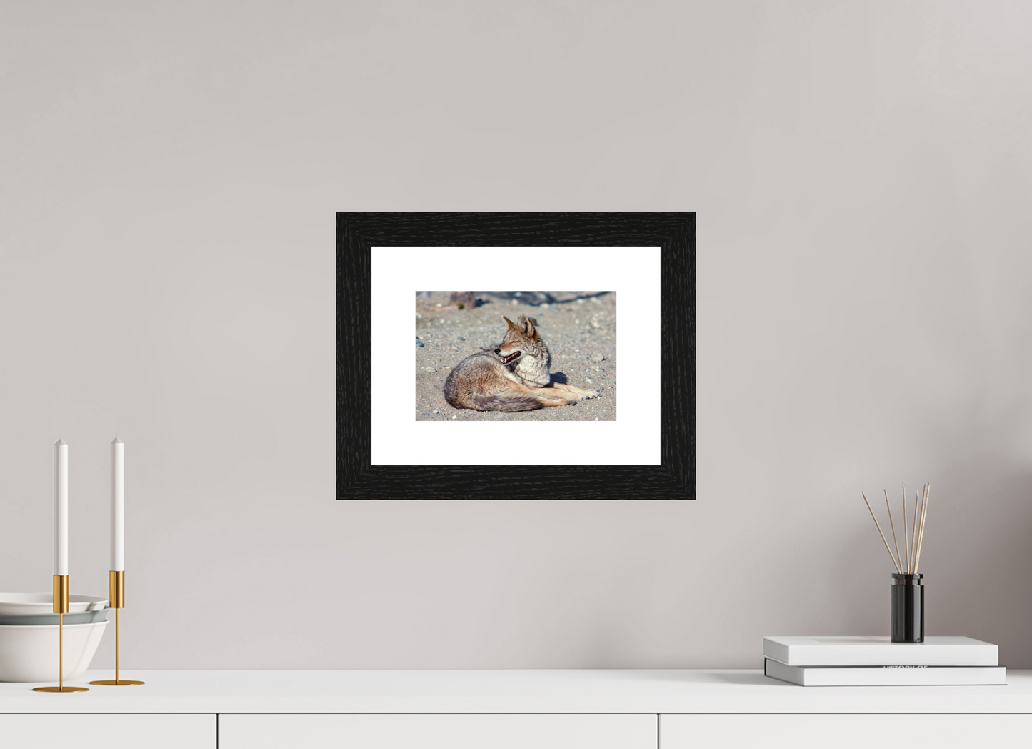 Resting Coyote (Aline de Nanxe)
