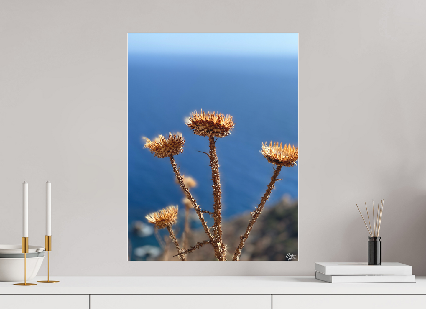 45 x 60 cm, Tirage photo sous Plexi mat Whispers of the Wind (Caroline Fourest)