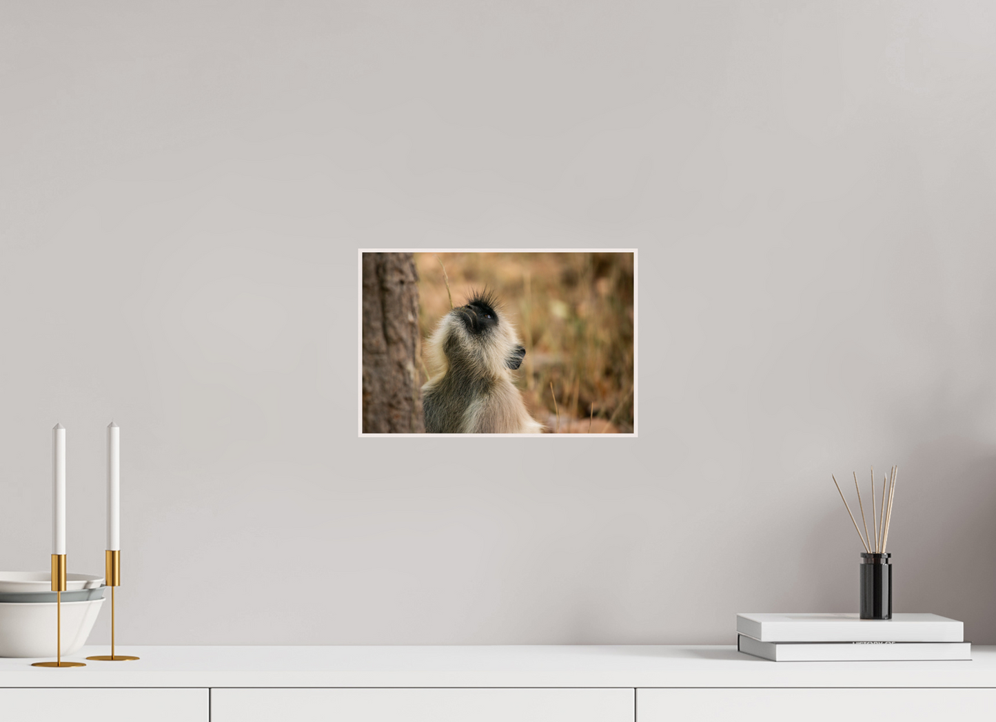 Gaze of Curiosity (Fiammetta Venner)