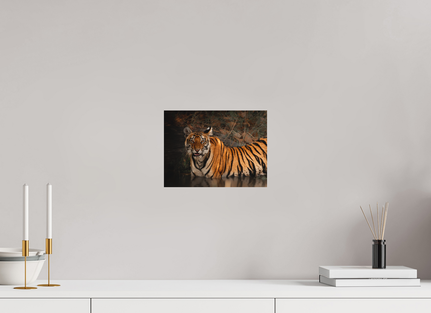 Bengal tiger moment (Fiammetta Venner)