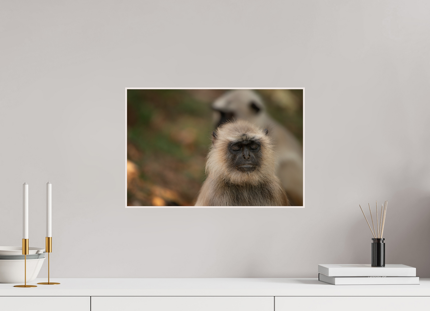 Dharma Langur (Fiammetta Venner)