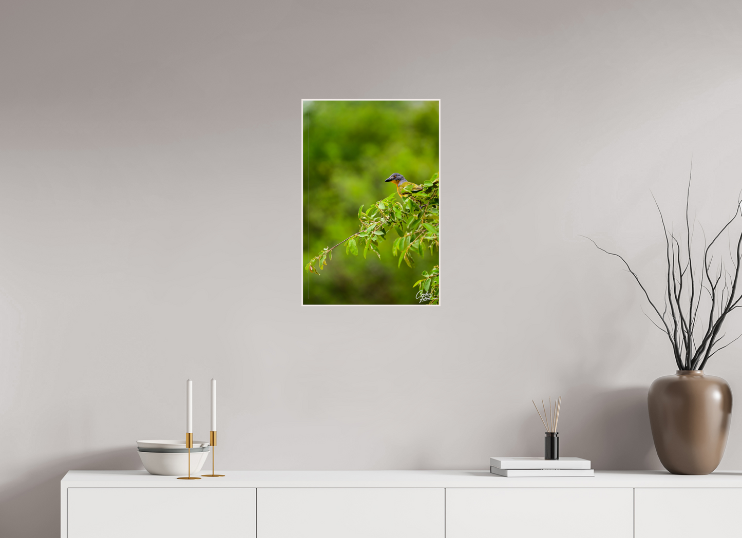 Vibrant Perch (Caroline Fourest)