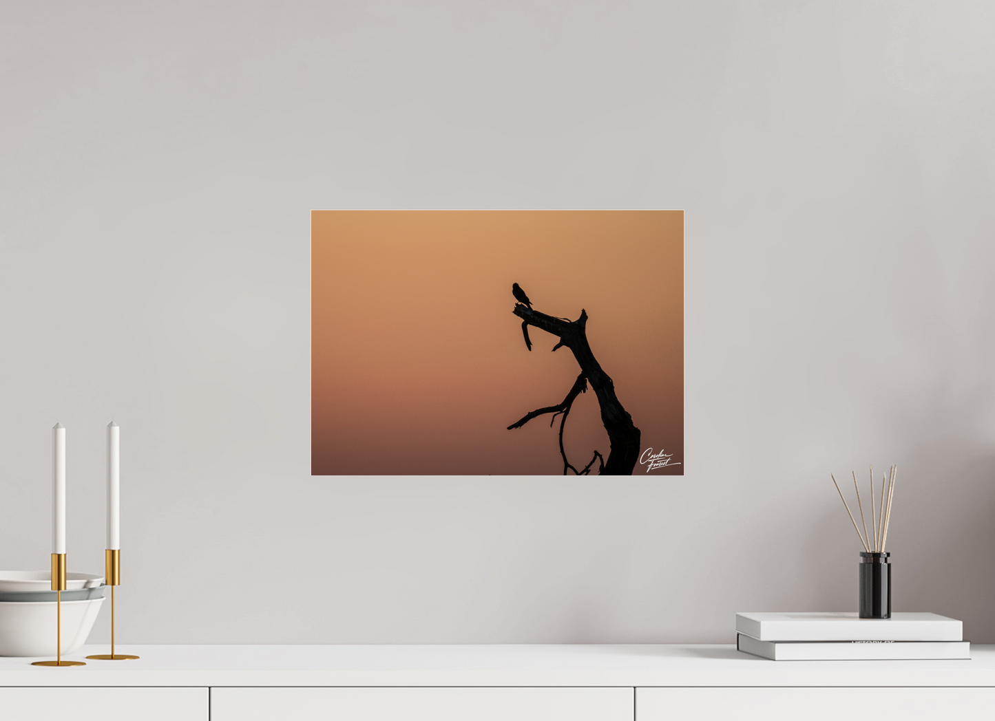 Silhouette at Dusk (Caroline Fourest)