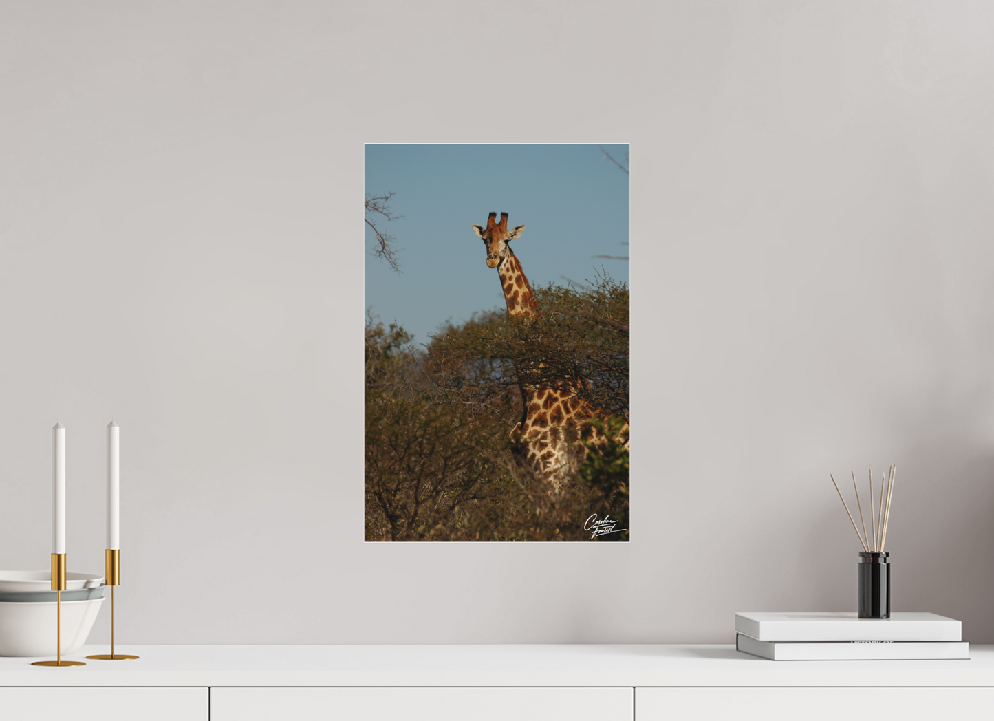 Towering Grace (Caroline Fourest)
