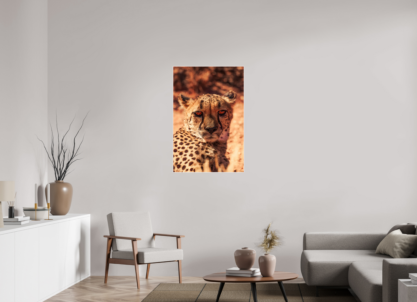 Cheetah's Gaze (Fiammetta Venner)