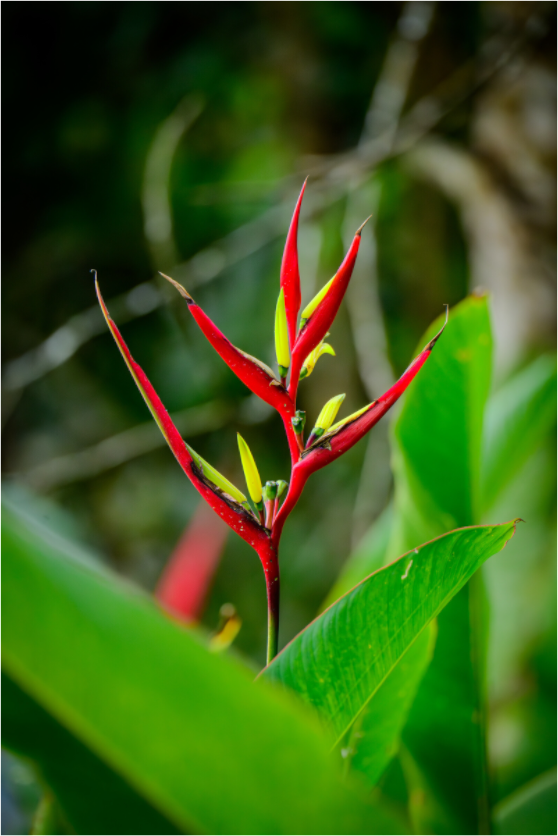 Main image Peru (2024) Photography : © Fiammetta Venner / REIA (Fiammetta Venner)