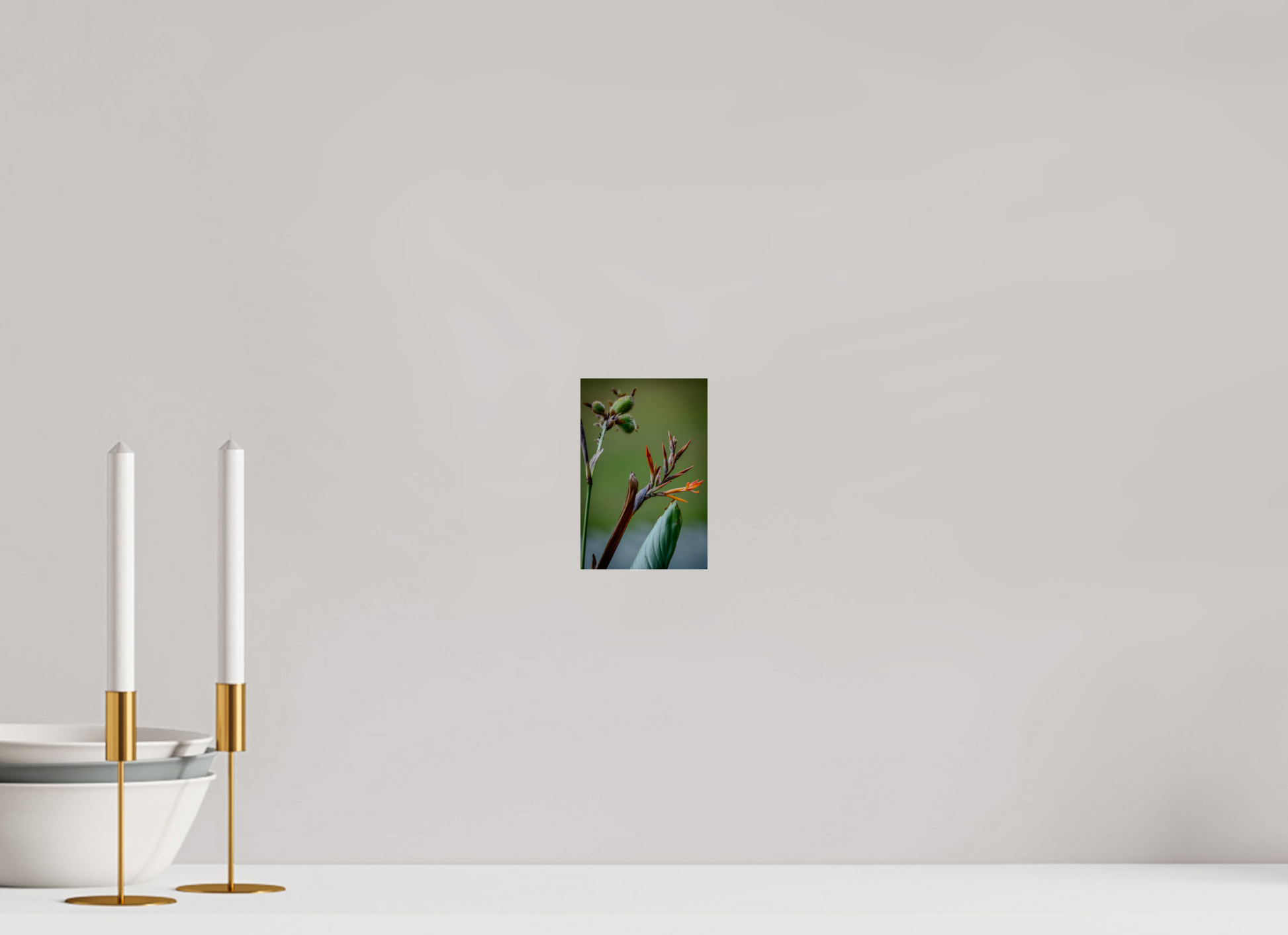 10 x 15 cm, Tirage photo ultraHD sous Plexi Fiammetta Perou