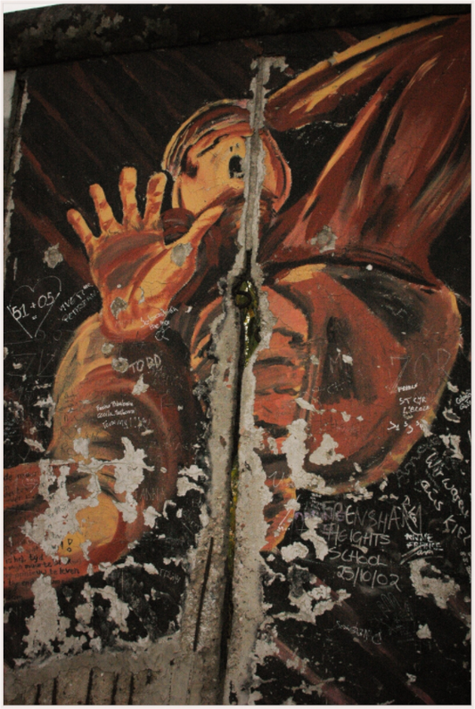 Scar Murals (Fiammetta Venner)