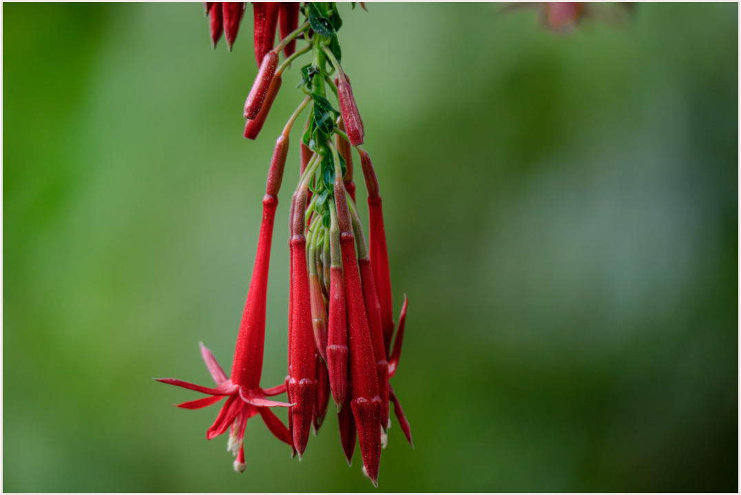 Main image Peru (2024) Photography : © Fiammetta Venner / REIA (Fiammetta Venner)