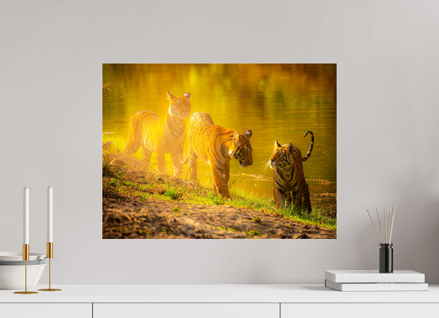 Young Explorers (Fiammetta Venner)