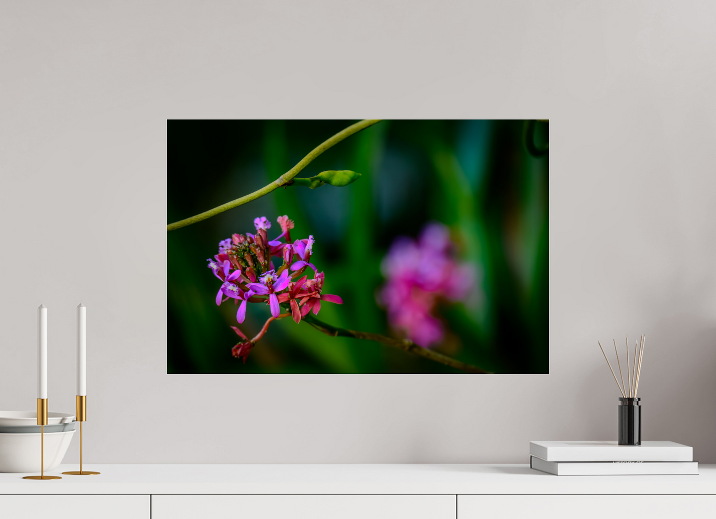 60 x 40 cm, Photo Print Under Acrylic Glass Fiammetta Perou