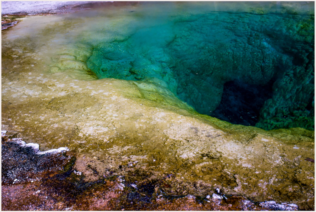 Aquatic Tapestry (Aline de Nanxe)