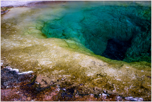Aquatic Tapestry (Aline de Nanxe)