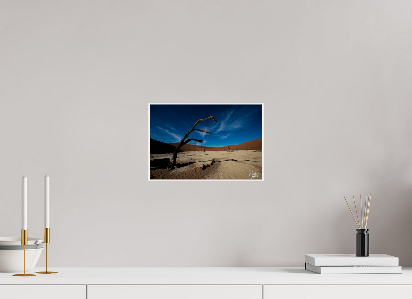 Desert Sentinel (Caroline Fourest)