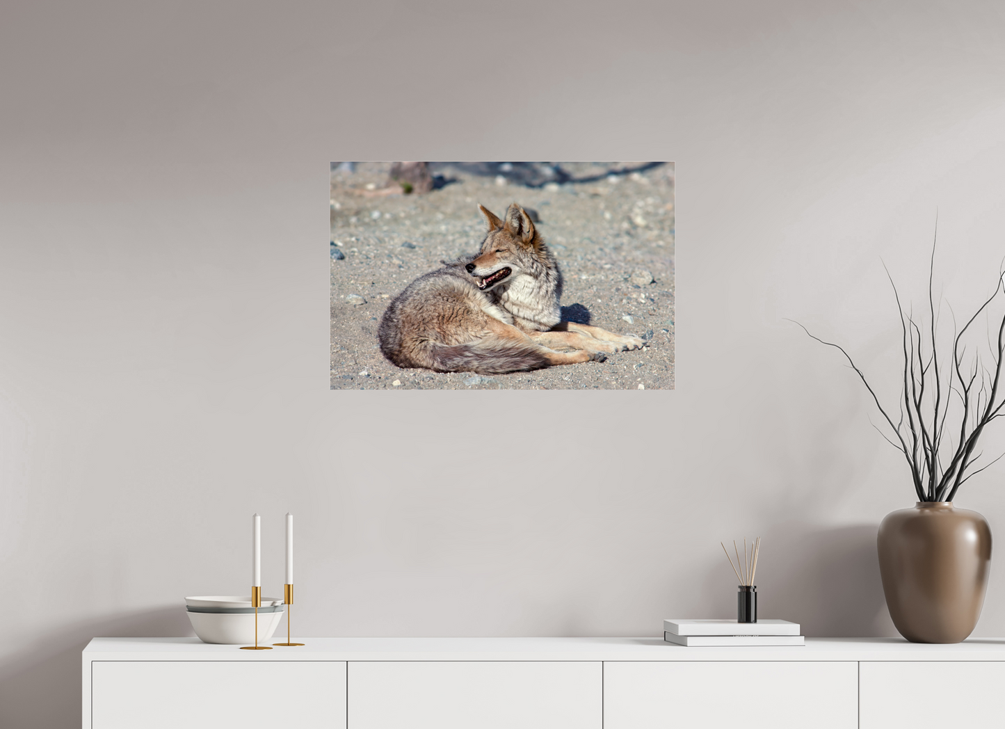 Resting Coyote (Aline de Nanxe)