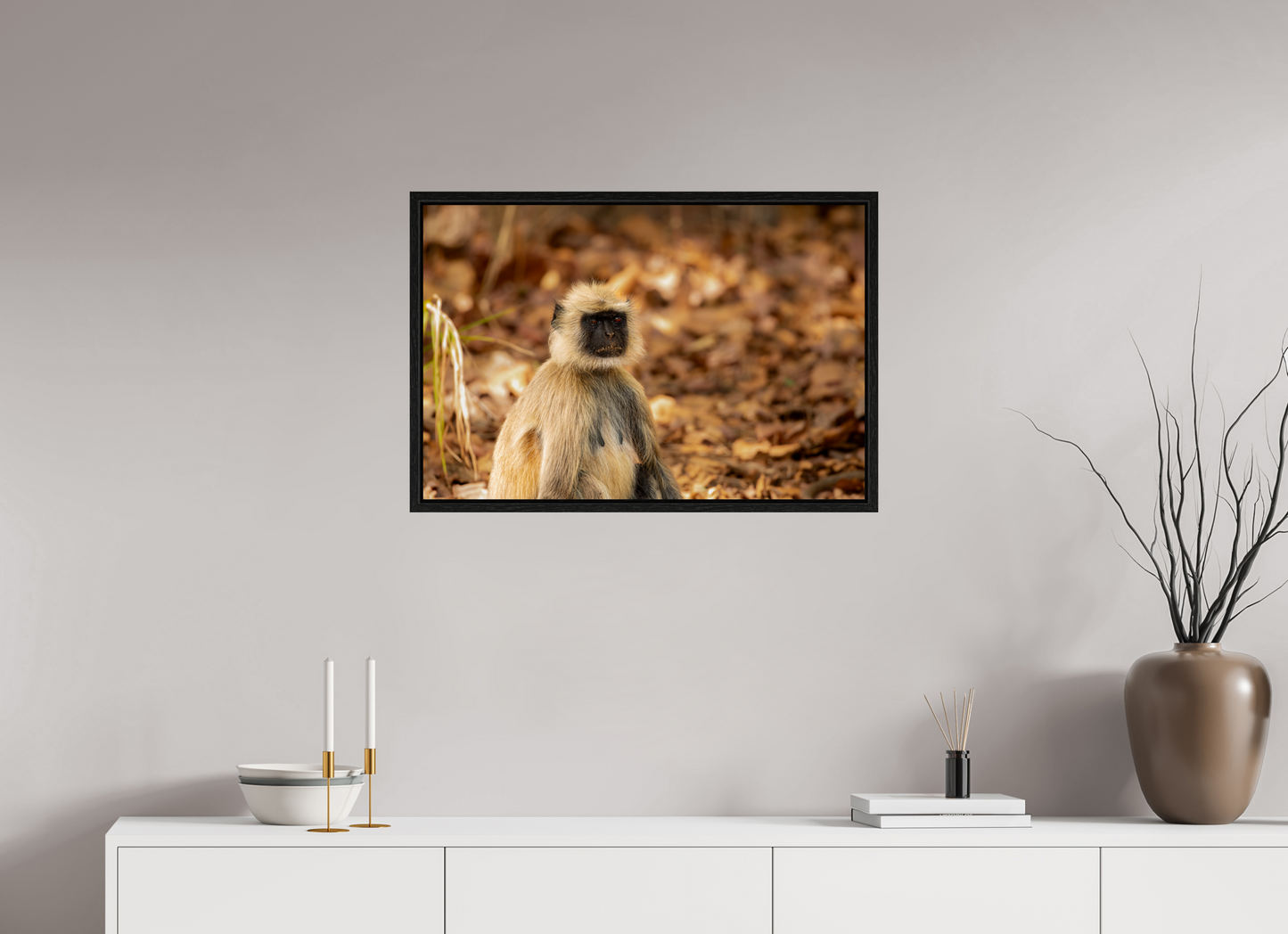 Langur Contemplative Gaze (Fiammetta Venner)