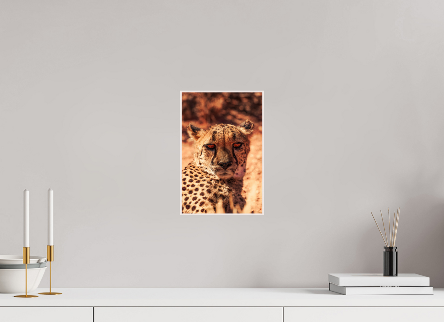 Cheetah's Gaze (Fiammetta Venner)