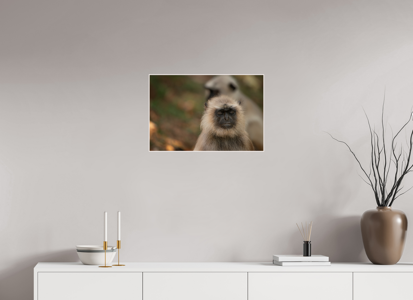 Dharma Langur (Fiammetta Venner)