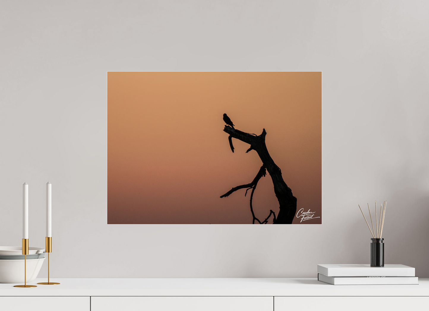 Silhouette at Dusk (Caroline Fourest)