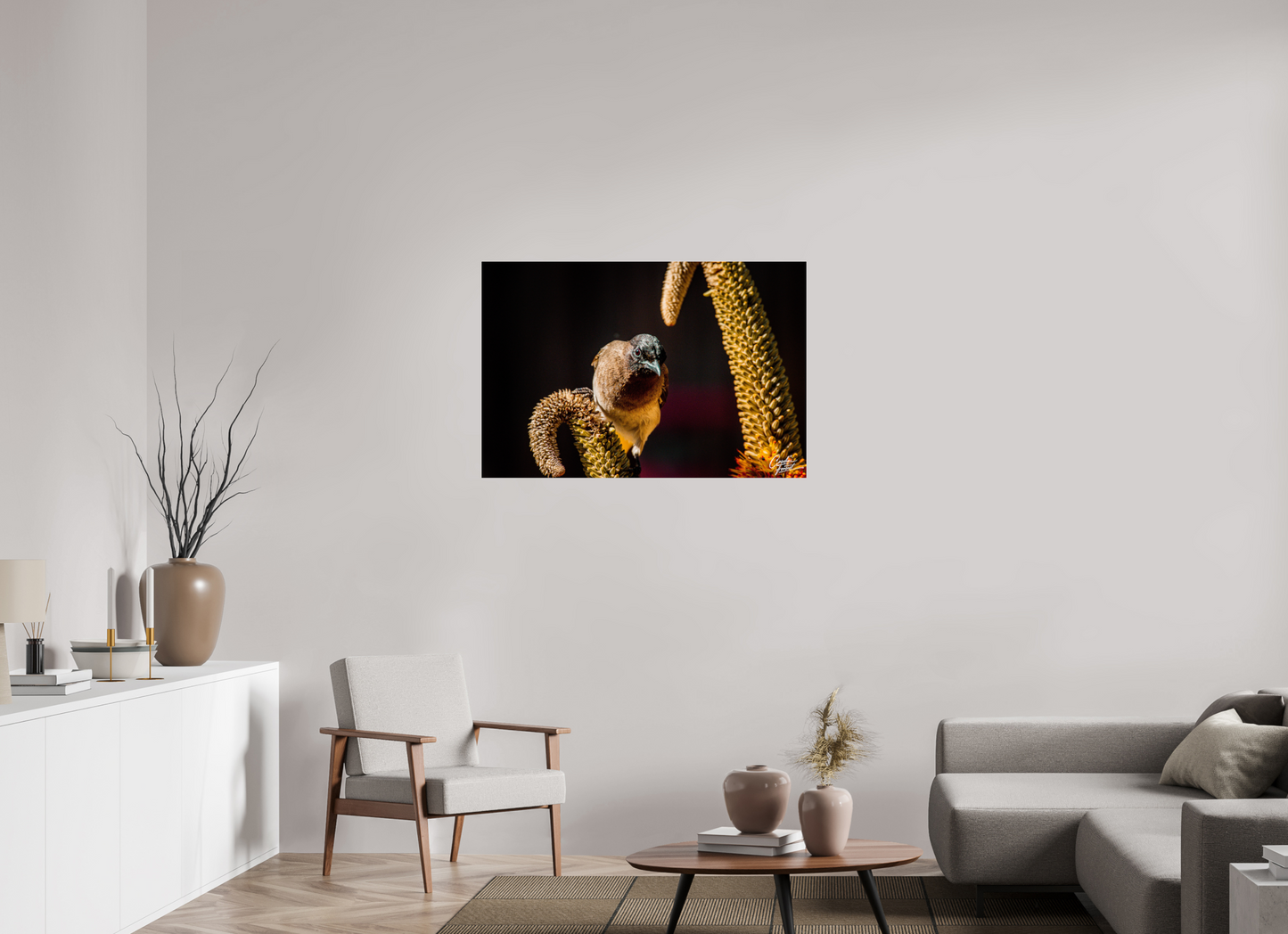 Perched Curiosity (Caroline Fourest)