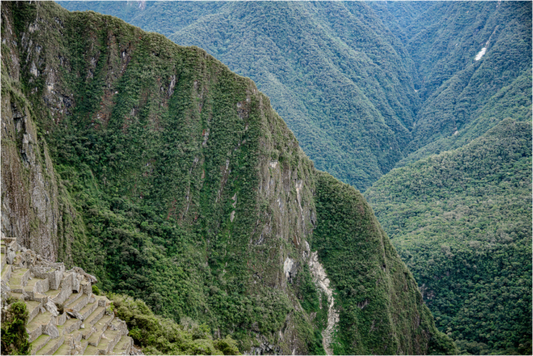 Main image Fiammetta Perou