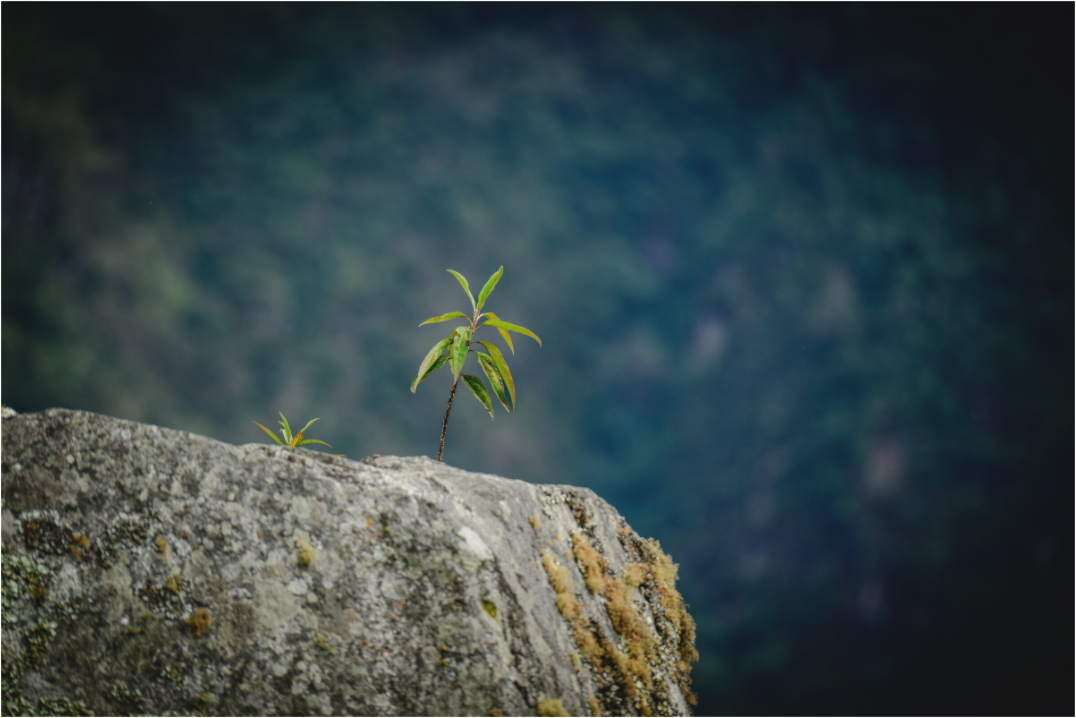 Main image Fiammetta Perou