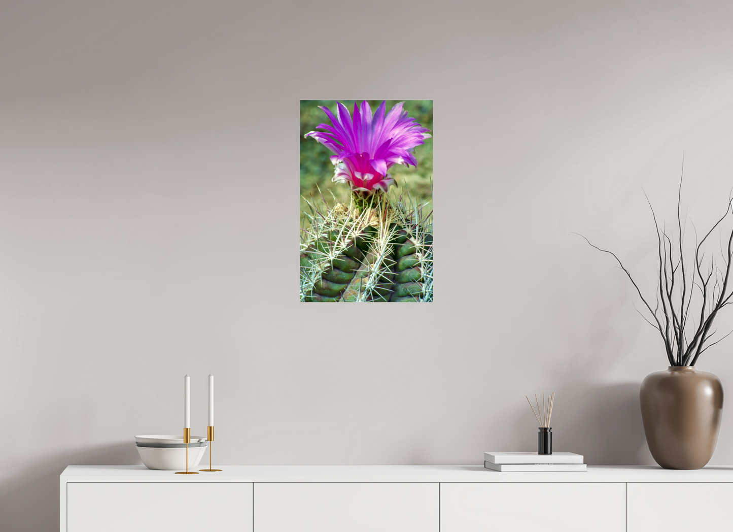 Flamingo Cactus (Aline de Nanxe)