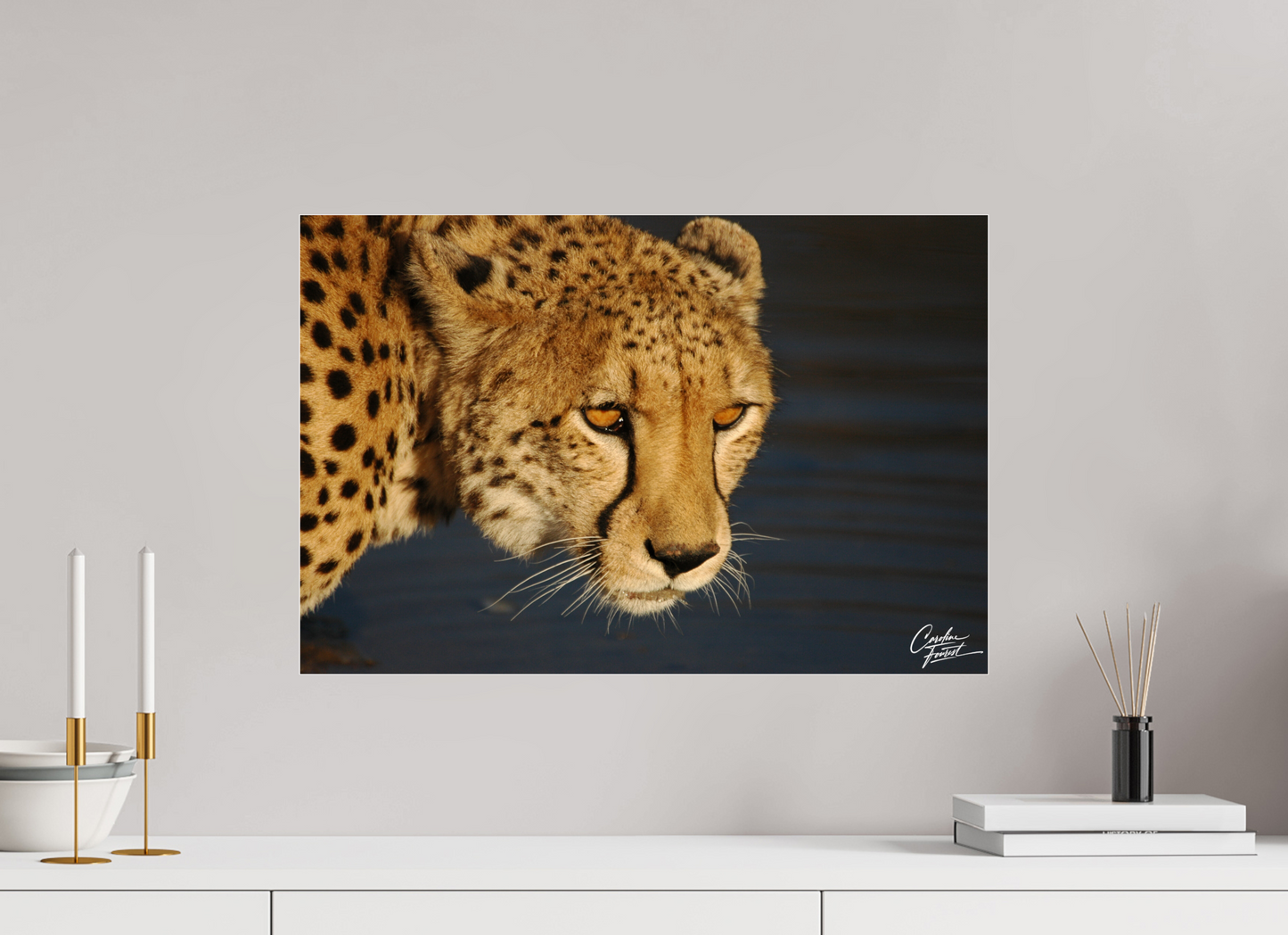 Golden Gaze of the Wild (Caroline Fourest)