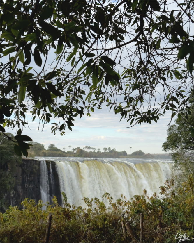 Main image Endless Flow (Caroline Fourest)