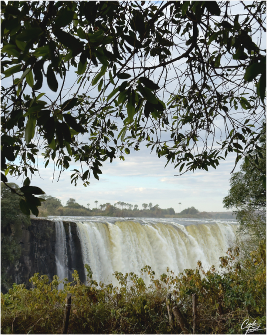 Main image Endless Flow (Caroline Fourest)