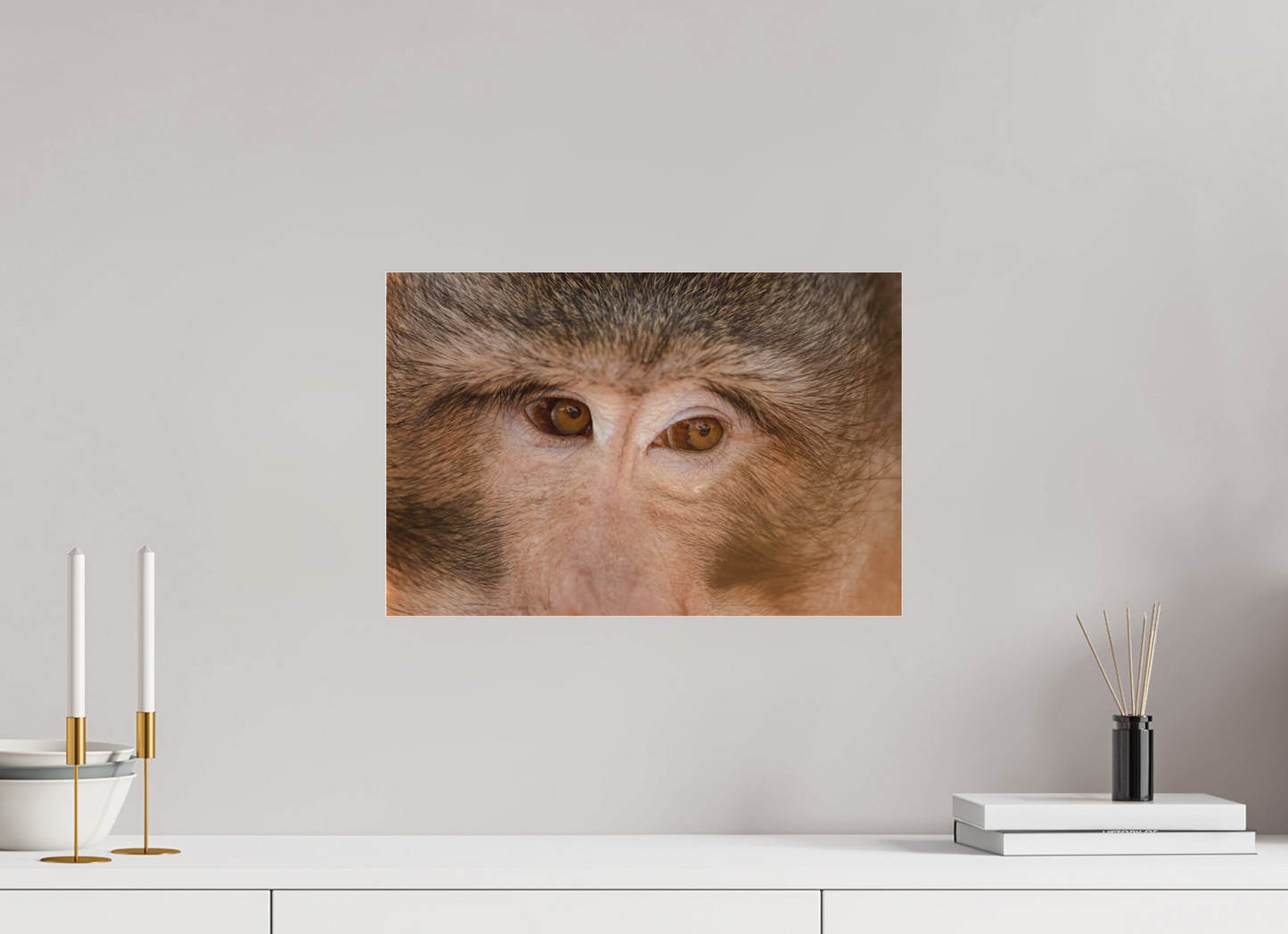 45 x 30 cm, Tirage photo sous Plexi mat gj