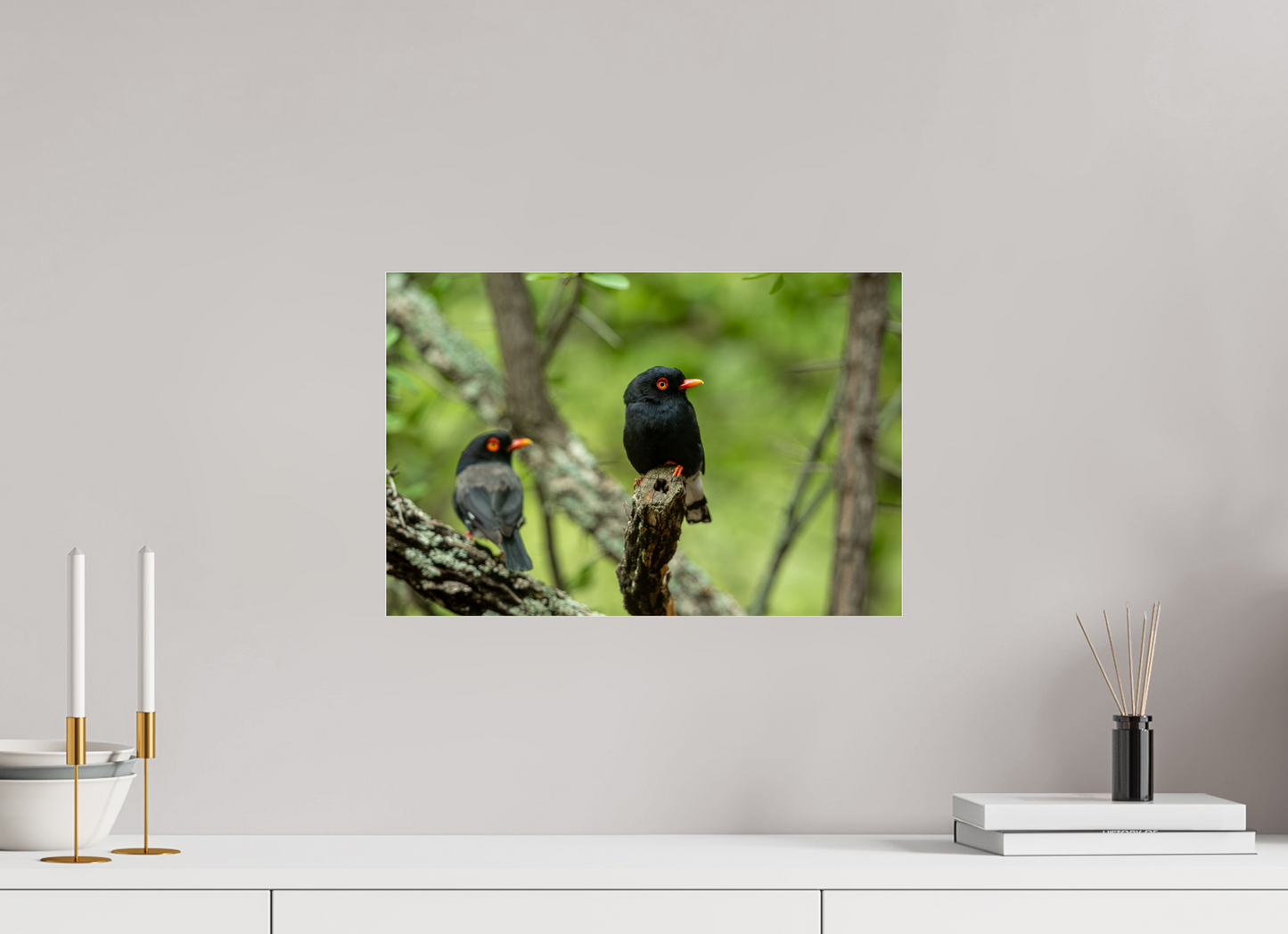 Feathered Companions (Fiammetta Venner)