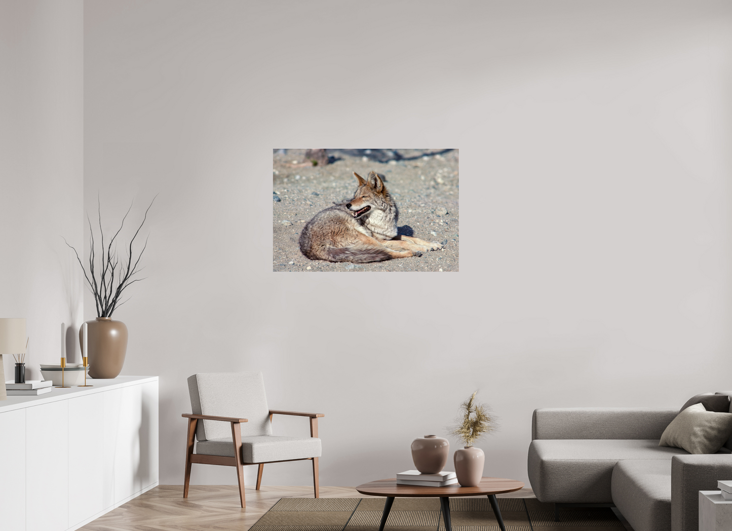 Resting Coyote (Aline de Nanxe)