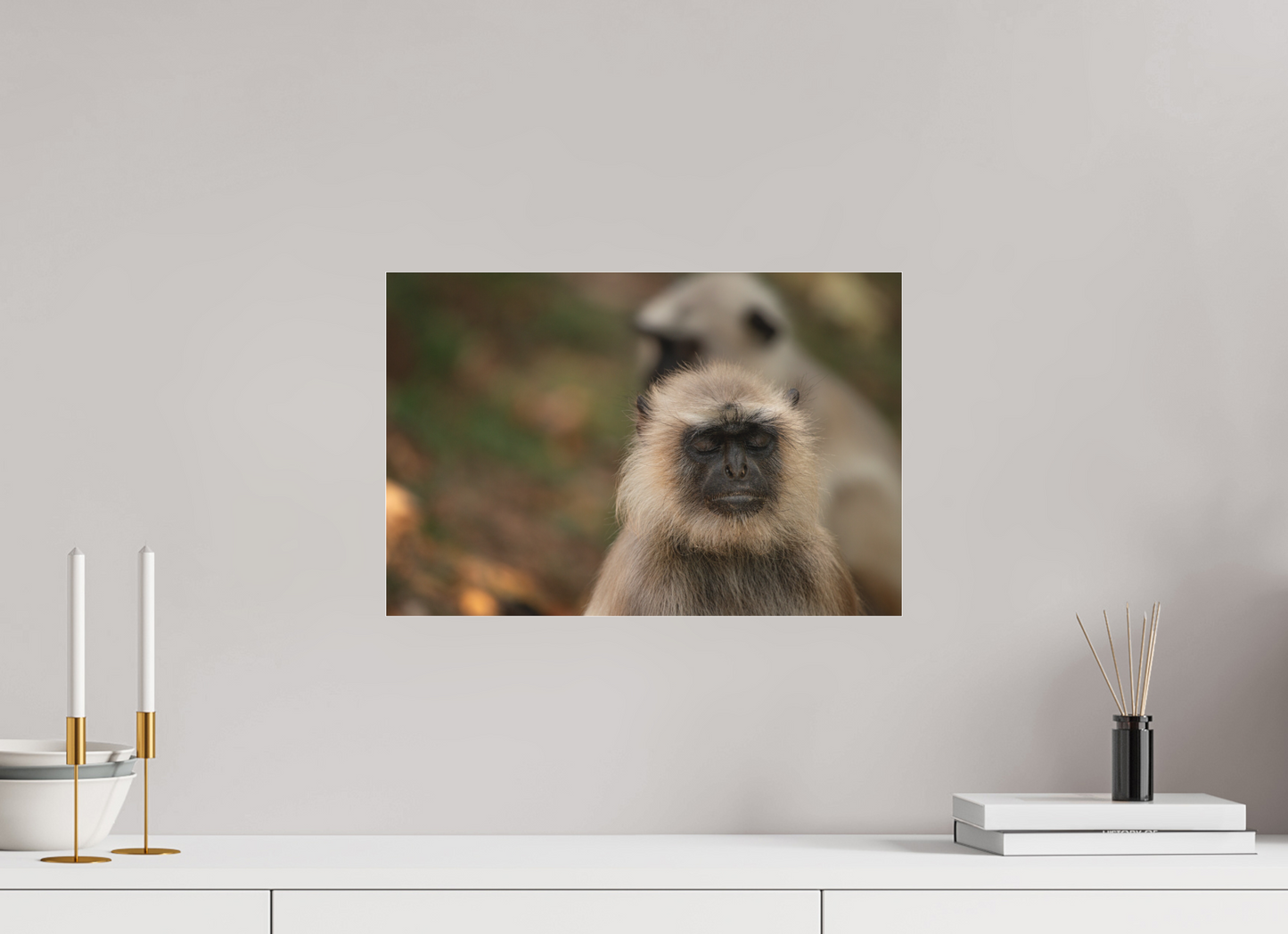 Dharma Langur (Fiammetta Venner)