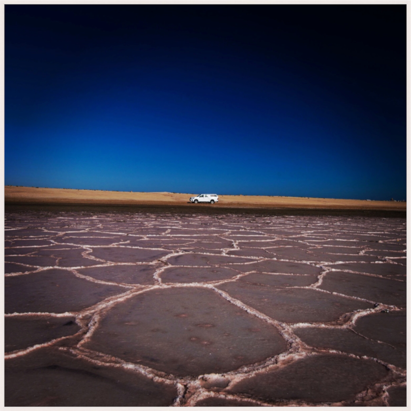Namibian Salt Flats (Fiammetta Venner)
