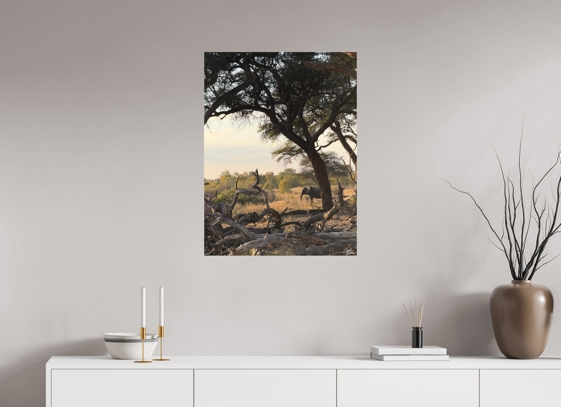 60 x 80 cm, Tirage photo sous Plexi mat The Guardian Tree (Caroline Fourest)