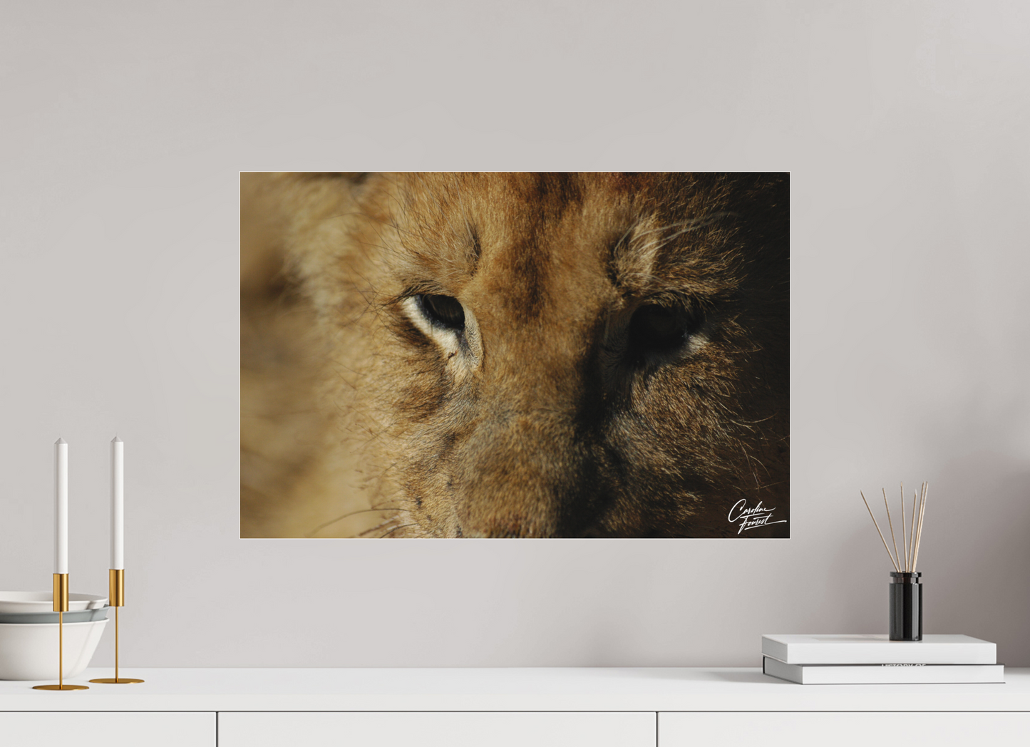 Majestic Cub (Caroline Fourest)