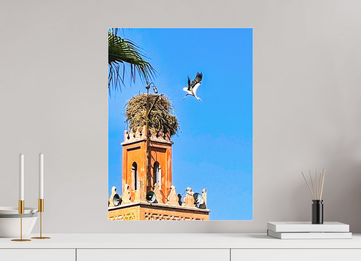 Storks Over Marrakech (Fiammetta Venner)