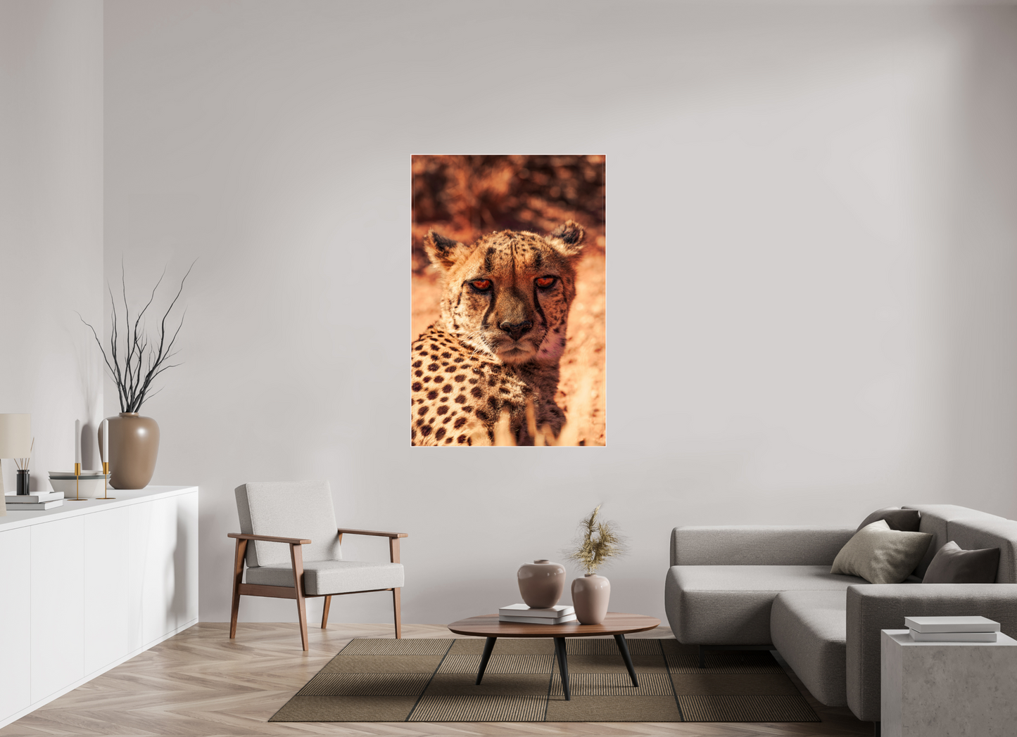 Cheetah's Gaze (Fiammetta Venner)