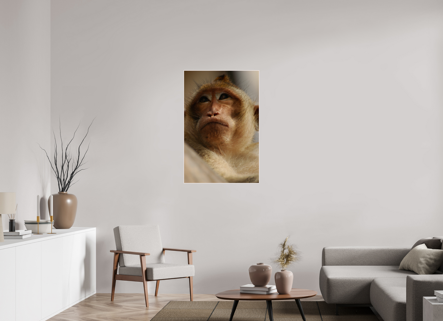 Contemplative Gaze (Caroline Fourest)