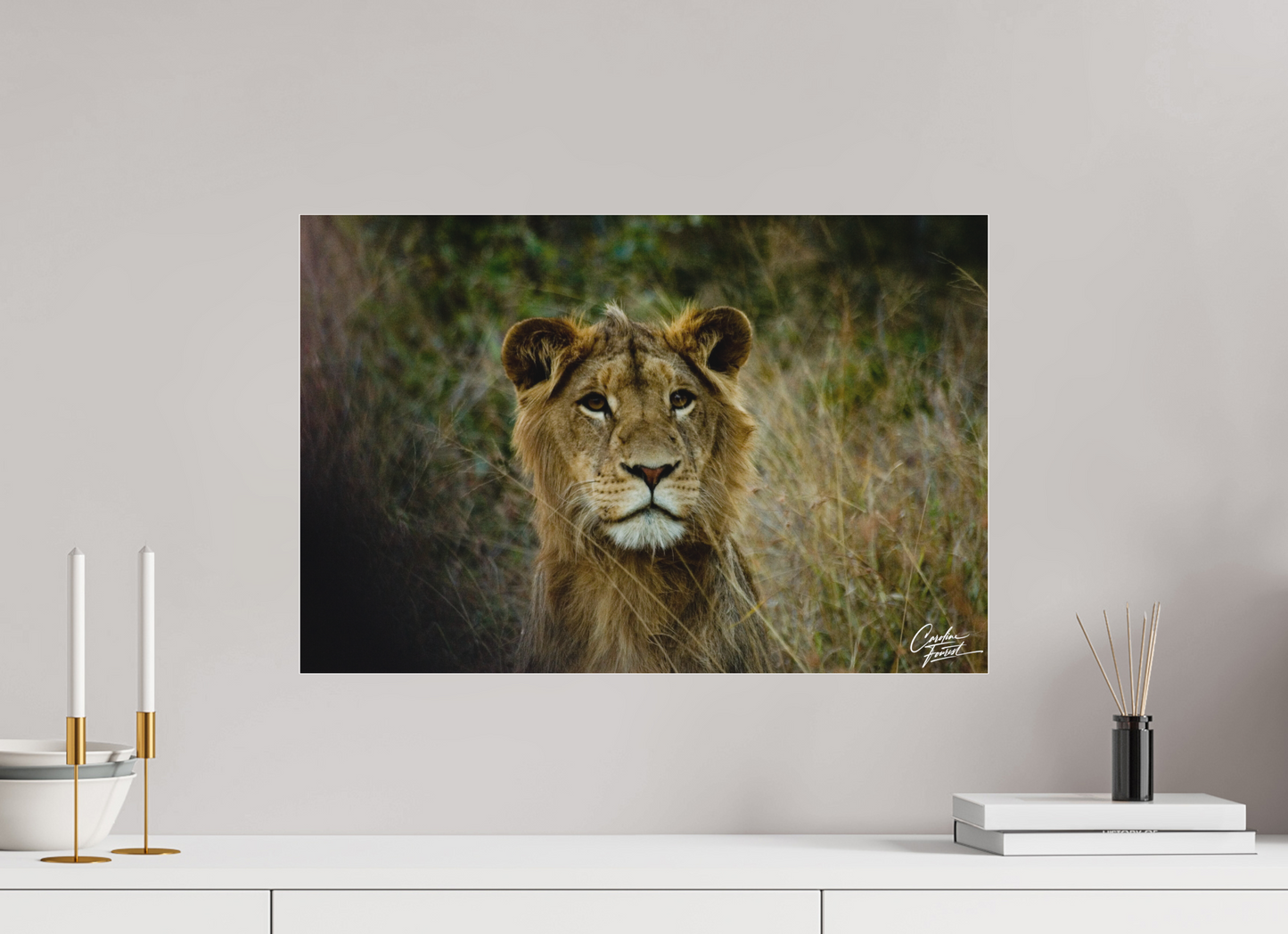 King of the Grasslands (Caroline Fourest)